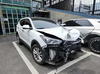 2018 Hyundai Santa FE KMHSW81UBJU804431 VIN:KMHSW81UBJU804431