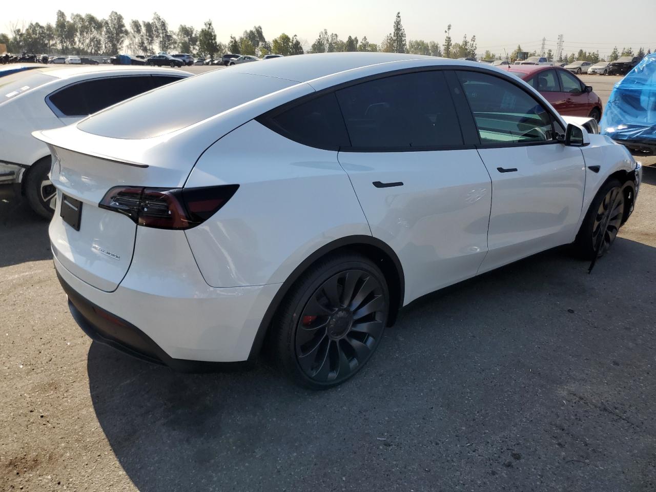 2024 TESLA MODEL Y  VIN:7SAYGDEF2RF117616