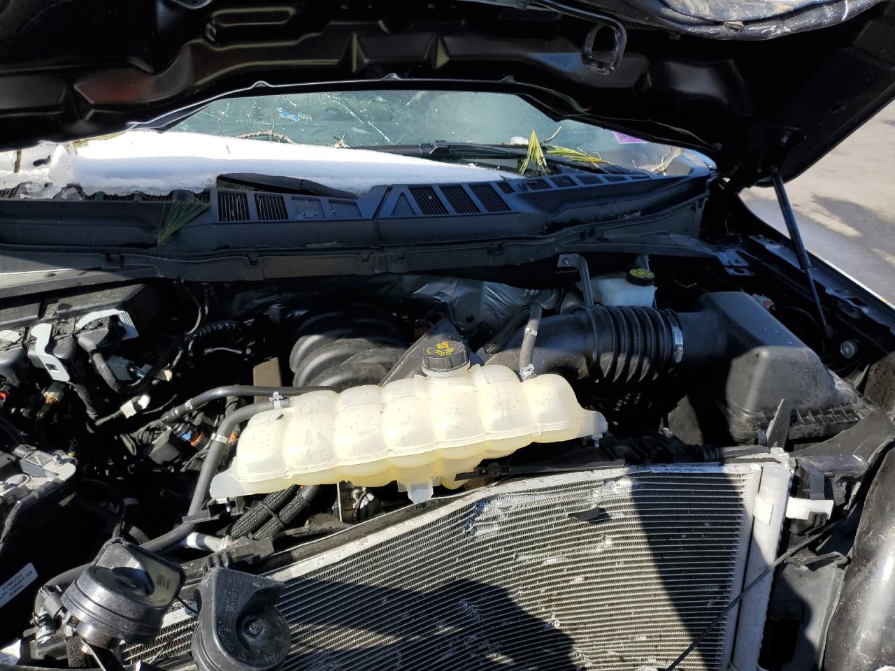 2023 FORD F150 SUPERCREW VIN:1FTFW1E54PKF02995