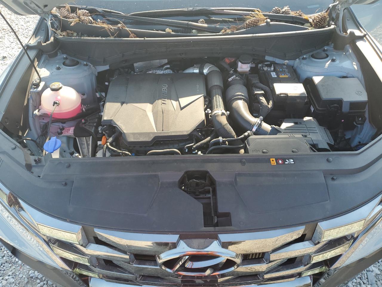 2023 HYUNDAI SANTA CRUZ LIMITED VIN:5NTJEDAF1PH066409