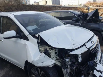 2019 Kia Carnival KNAMB81ABKS556683 VIN:KNAMB81ABKS556683