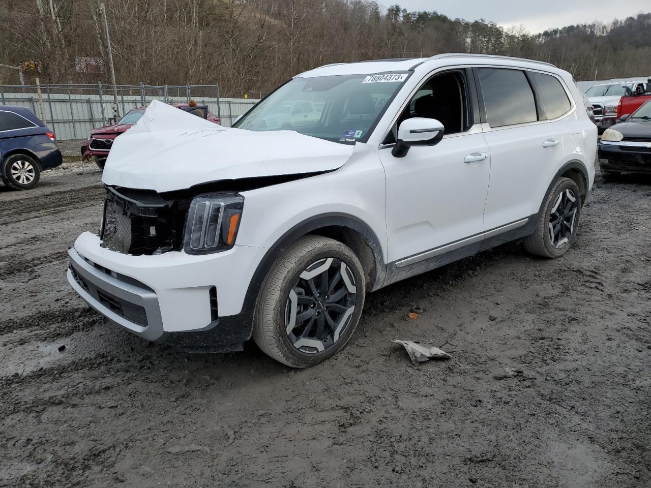 2024 KIA TELLURIDE EX VIN:5XYP34GCXRG413208