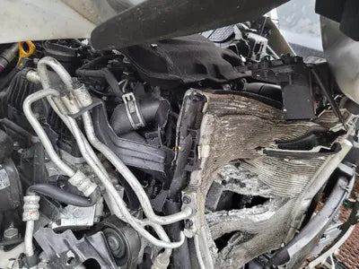 2017 Kia Sorento 385KMKNAPK81ABHA3 VIN:385KMKNAPK81ABHA3