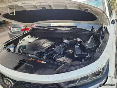 2020 Kia Sorento KNAPS81ABLA625226 VIN:KNAPS81ABLA625226