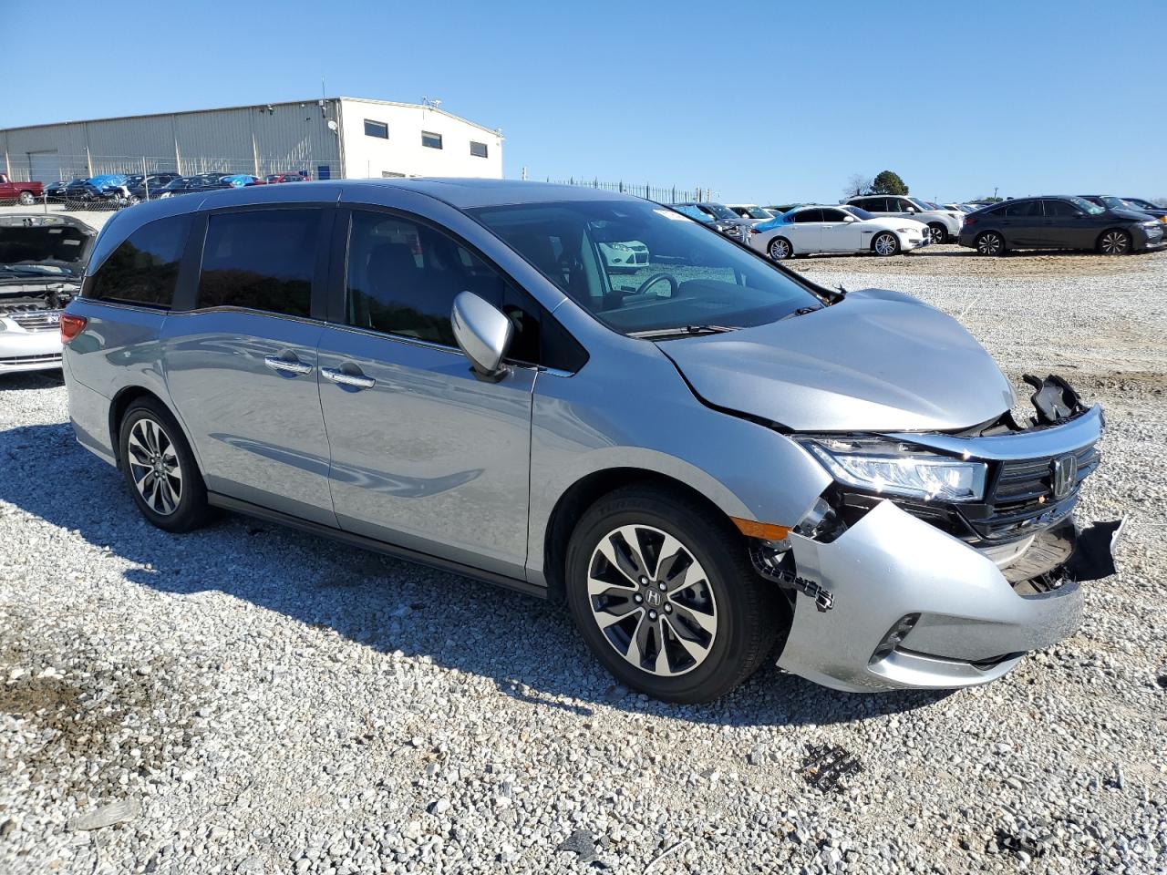 2024 HONDA ODYSSEY EXL VIN:5FNRL6H66RB012775