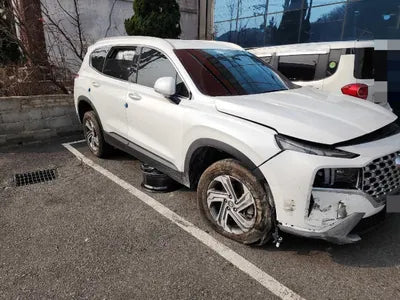 2021 Hyundai Santa FE KMHS381LGMU397907 VIN:KMHS381LGMU397907
