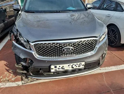2016 Kia Sorento KNAPH81ABGA209640 VIN:KNAPH81ABGA209640
