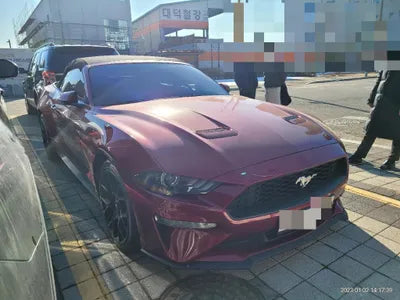2019 Ford Mustang 1FATP8UH3K5196891 VIN:1FATP8UH3K5196891