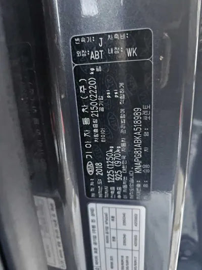 2019 Kia Sorento KNAPG81ABKA518989 VIN:KNAPG81ABKA518989