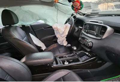 2020 Kia Sorento KNAPG81BBLA569568 VIN:KNAPG81BBLA569568