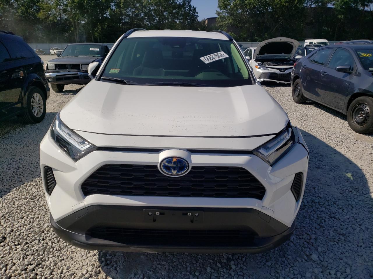 2023 TOYOTA RAV4 XLE VIN:JTMRWRFV1PD171565