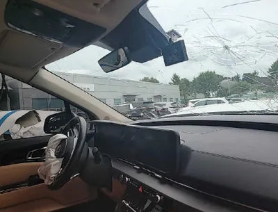 2021 Kia Carnival KNANE81BBMS117645 VIN:KNANE81BBMS117645
