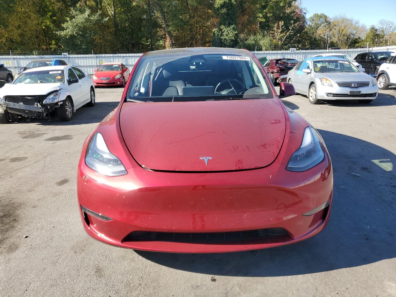 2024 TESLA MODEL Y  VIN:7SAYGAEE8RF026436