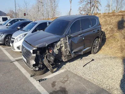 2020 Hyundai Santa FE KMHS281BDLU224822 VIN:KMHS281BDLU224822