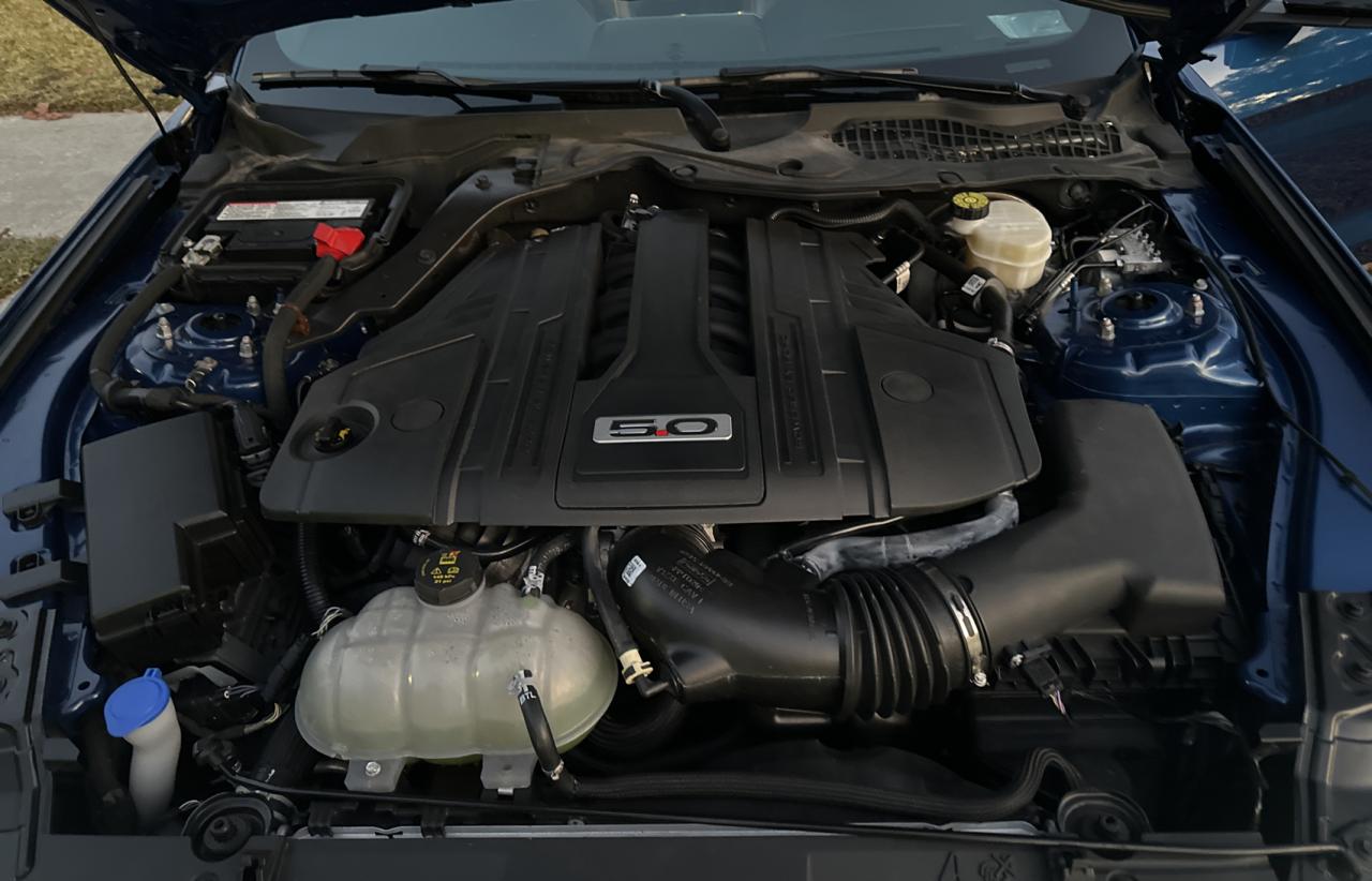 2023 FORD MUSTANG GT VIN:1FA6P8CF3P5306021