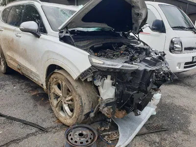 2019 Hyundai Santa FE 074KMKMHS281CBKU0 VIN:074KMKMHS281CBKU0