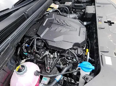 2023 Kia Carnival KNANC813BPS225973 VIN:KNANC813BPS225973