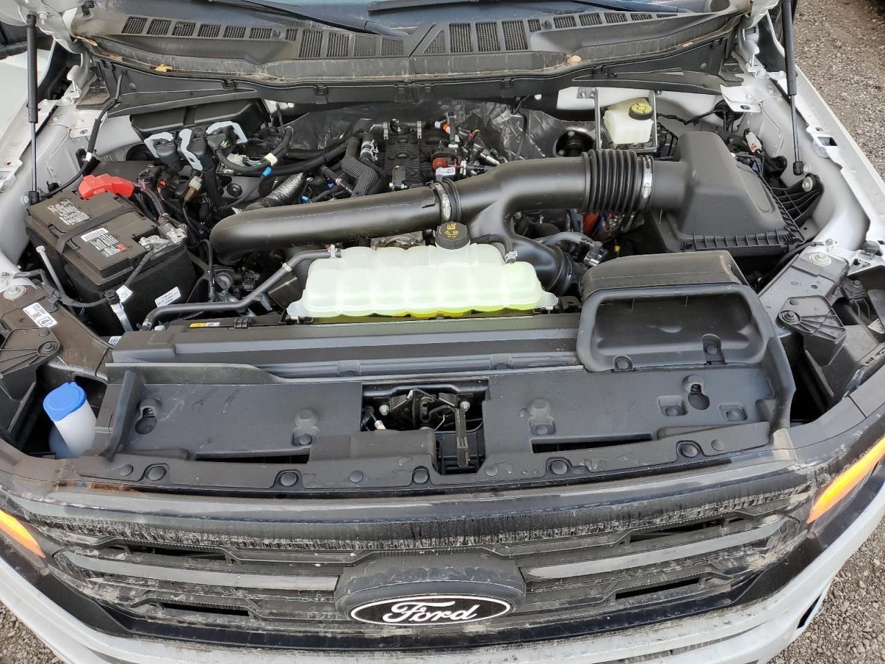 2024 FORD F150 XLT VIN:1FTFW3L82RFB46048