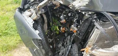 2019 Mercedes-Benz E 220 WDDZF0EB5KA509987 VIN:WDDZF0EB5KA509987