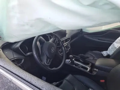 2018 Hyundai Santa FE KMHS281BBKU023902 VIN:KMHS281BBKU023902