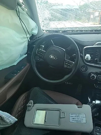 2019 Kia Sorento KNAPH81BBLA612488 VIN:KNAPH81BBLA612488