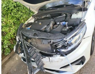 2019 Kia K5 KNAGT416BLA378556 VIN:KNAGT416BLA378556