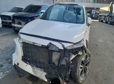 2019 Hyundai Santa FE KMHS281BBKU082980 VIN:KMHS281BBKU082980