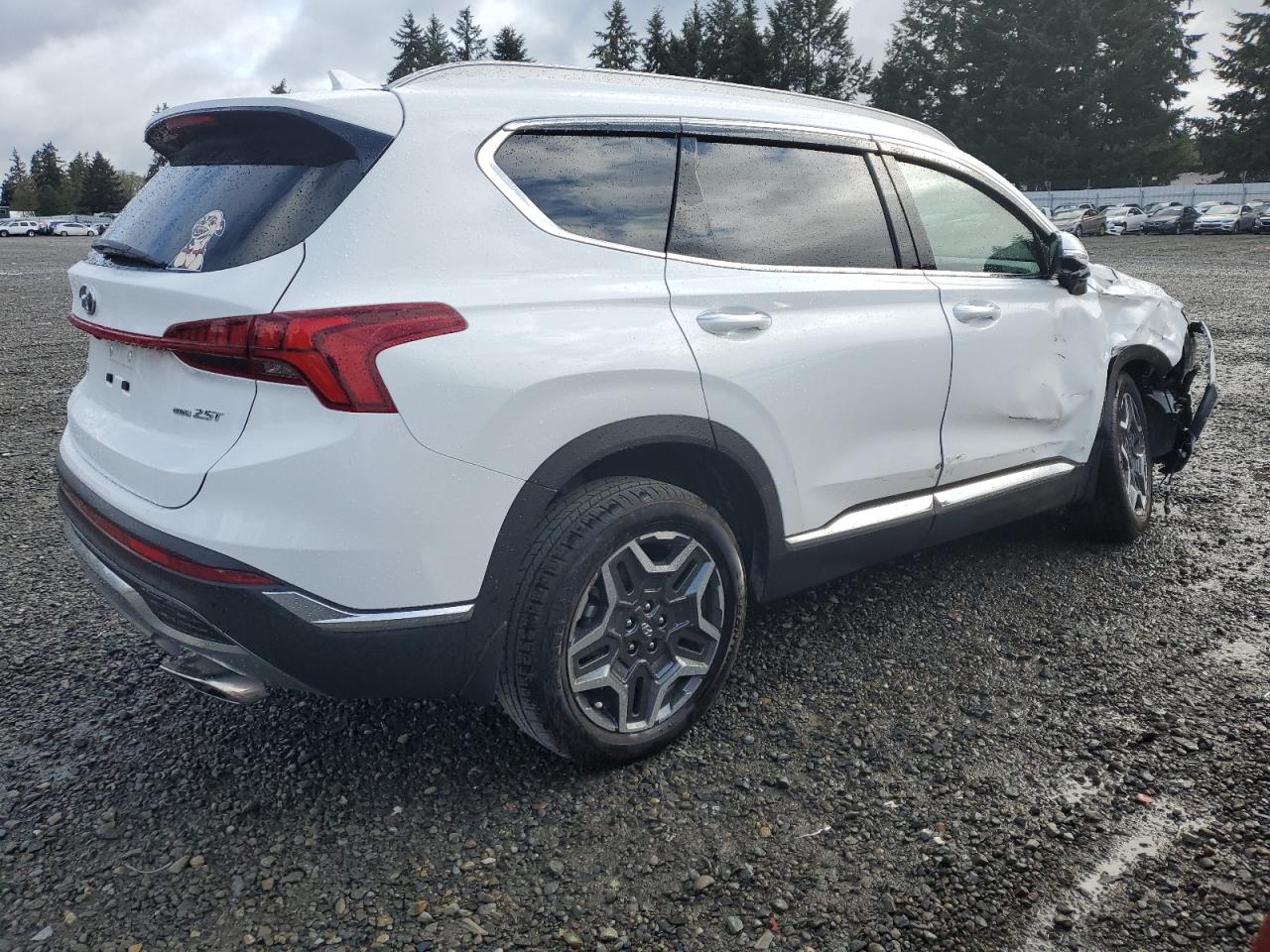 2023 HYUNDAI SANTA FE LIMITED VIN:5NMS4DAL8PH649018