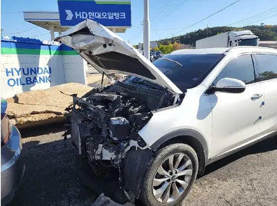 2019 Kia Sorento 130KMKNAPK81BBKA5 VIN:130KMKNAPK81BBKA5