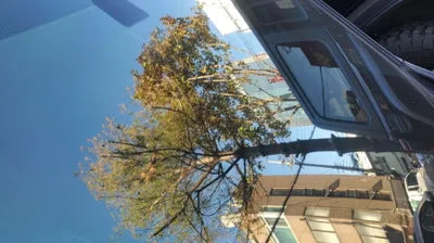 2015 Infiniti Q50 JNKDV71E1FM531391 VIN:JNKDV71E1FM531391