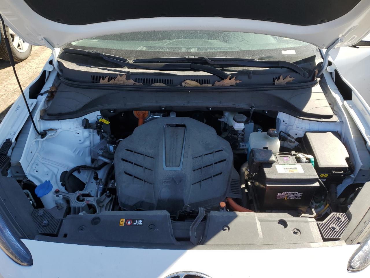 2023 HYUNDAI KONA SE VIN:KM8K23AG5PU186939