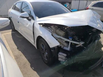 2020 Kia K5 KNAG541BBLA009613 VIN:KNAG541BBLA009613