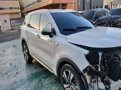 2022 Kia Sorento KNARK81GBNA072230 VIN:KNARK81GBNA072230