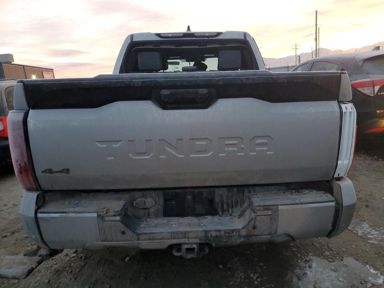 2023 TOYOTA TUNDRA CREWMAX PLATINUM VIN:5TFNA5DB9PX128945