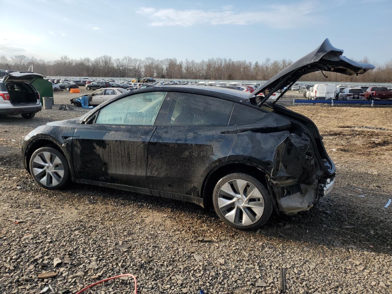 2022 TESLA MODEL Y  VIN:7SAYGAEE5NF376911
