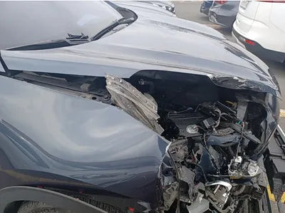 2019 Kia Sportage KNAPN813BKK630908 VIN:KNAPN813BKK630908