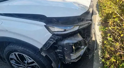 2020 Hyundai Santa FE KMHS381ABLU267357 VIN:KMHS381ABLU267357
