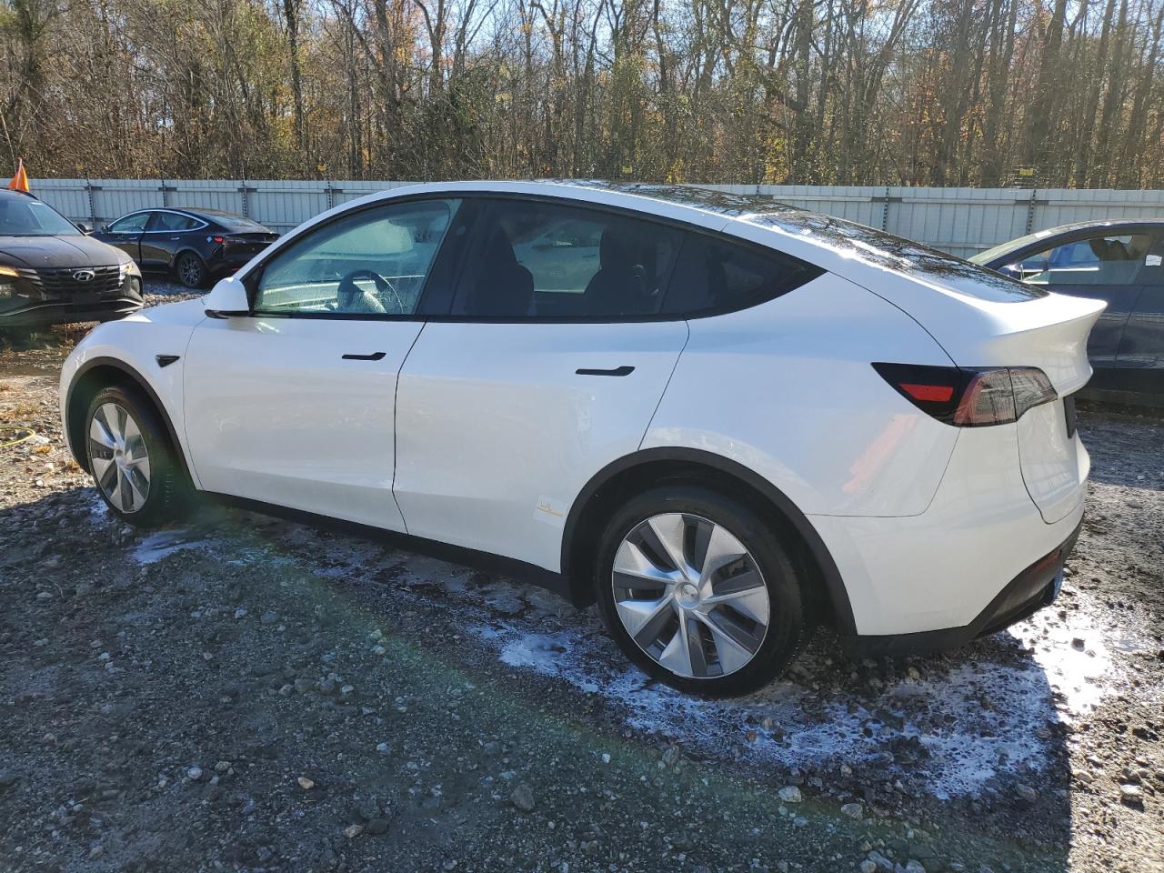 2024 TESLA MODEL Y  VIN:7SAYGAEE7RF091388