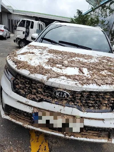 2021 Kia Sorento VIN: