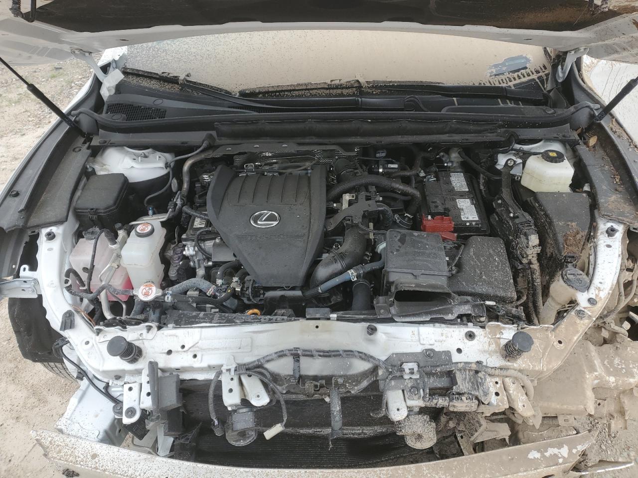2024 LEXUS RX 350 BASE VIN:2T2BAMBA6RC036163