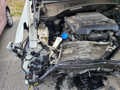 2017 Hyundai Santa FE KMHSW81UBJU839596 VIN:KMHSW81UBJU839596