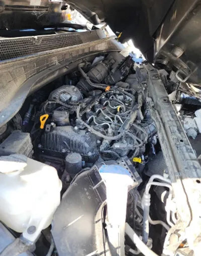 2018 Kia Sorento KNAPG81ABJA449790 VIN:KNAPG81ABJA449790