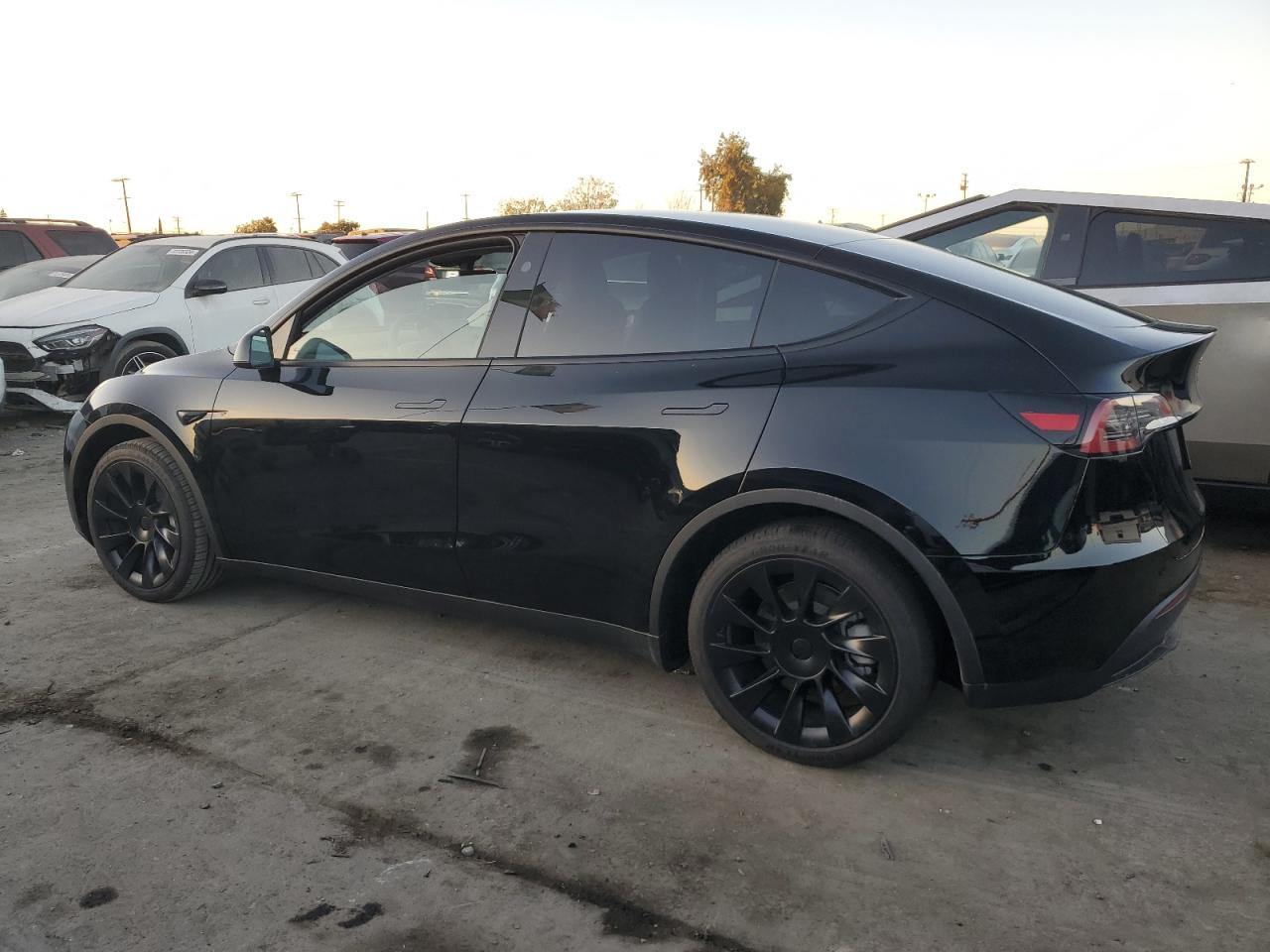 2024 TESLA MODEL Y  VIN:7SAYGAEE6RF150348