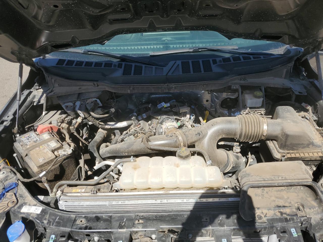 2024 FORD F150 STX VIN:1FTEW2KP8RKD23949