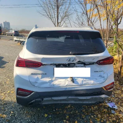 2019 Hyundai Santa FE KMHS381CDKU015039 VIN:KMHS381CDKU015039