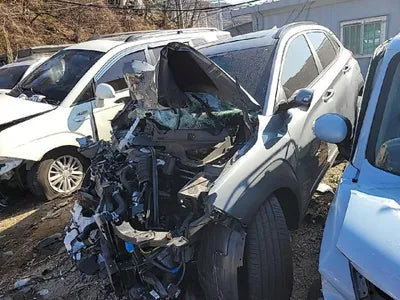 2020 Hyundai Kona KMHK4815GLU590817 VIN:KMHK4815GLU590817