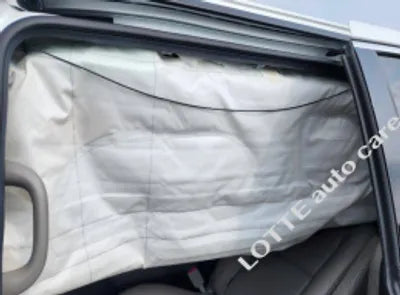 2020 Kia Carnival KNAMC81ABLS647278 VIN:KNAMC81ABLS647278