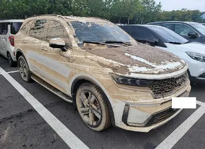2022 Kia Sorento KNARH81GBNA064779 VIN:KNARH81GBNA064779