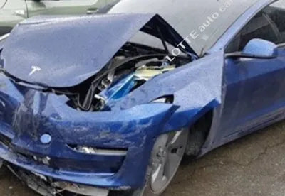 2021 Tesla Model 3 5YJ3E1EB8MF081304 VIN:5YJ3E1EB8MF081304