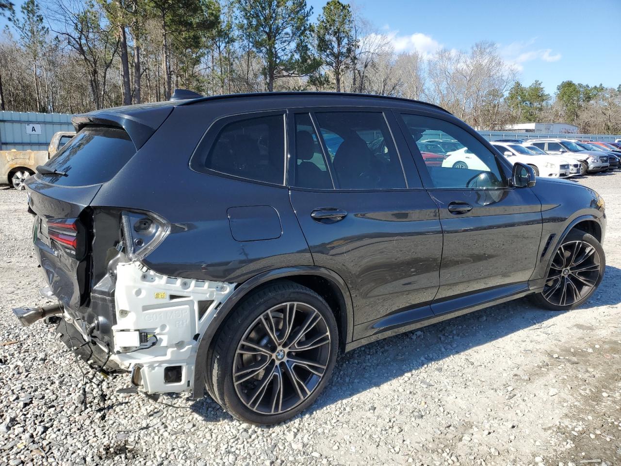 2022 BMW X3 SDRIVE30I VIN:5UX43DP04N9L67006
